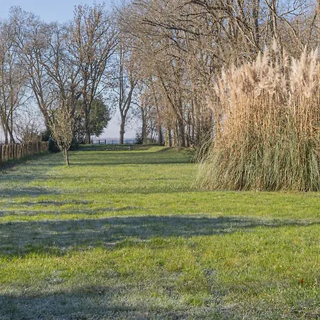 Les Mimosas - 3 D'hotes * Plassac (Gironde)