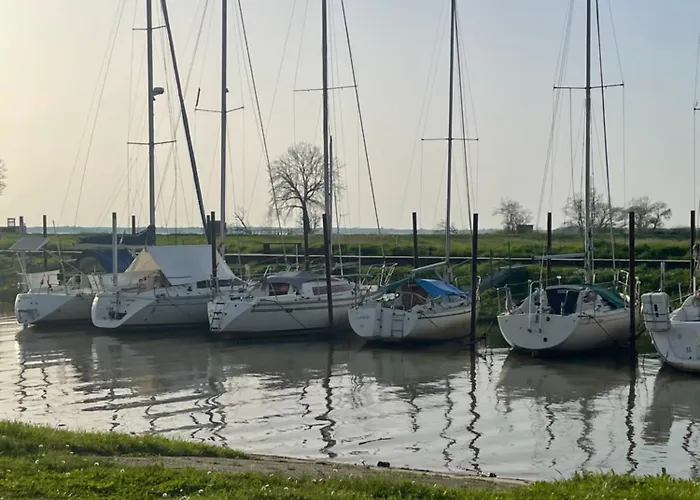 Les Mimosas - 3 D'hotes 3*