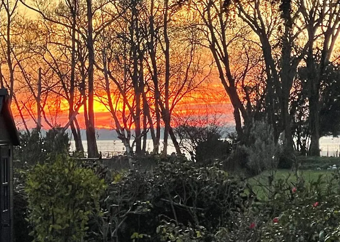 Les Mimosas - 3 D'hotes