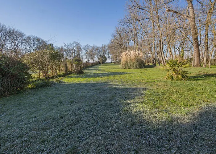 Les Mimosas - 3 D'hotes